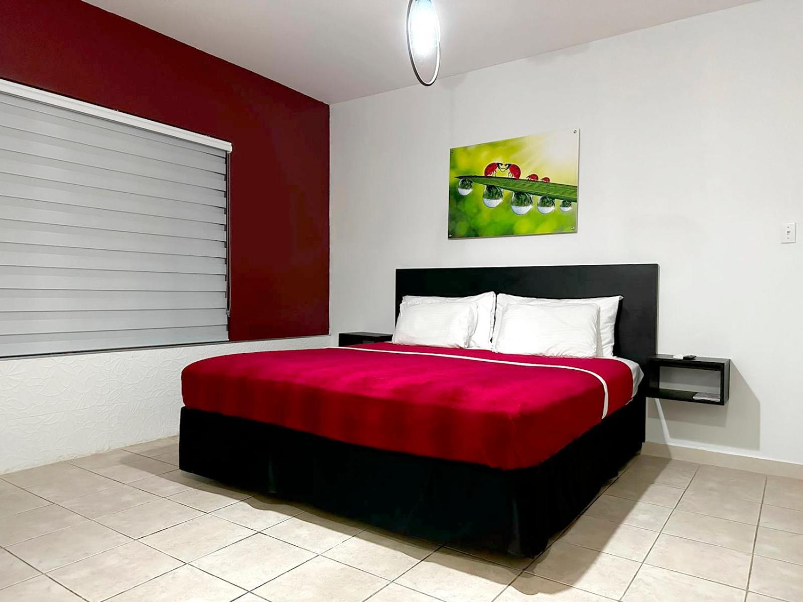 Ladybugs Apartments Palm Beach Zewnętrze zdjęcie