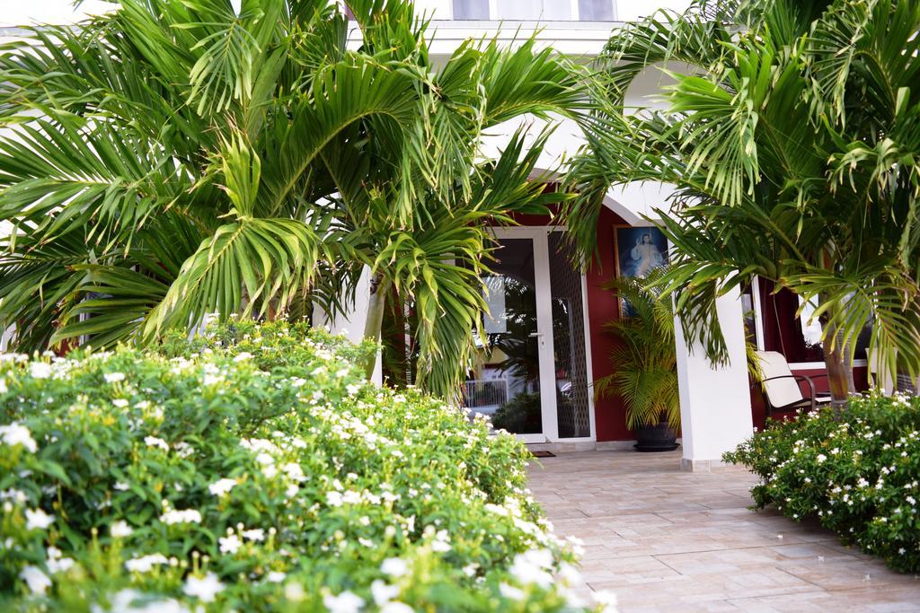 Ladybugs Apartments Palm Beach Zewnętrze zdjęcie